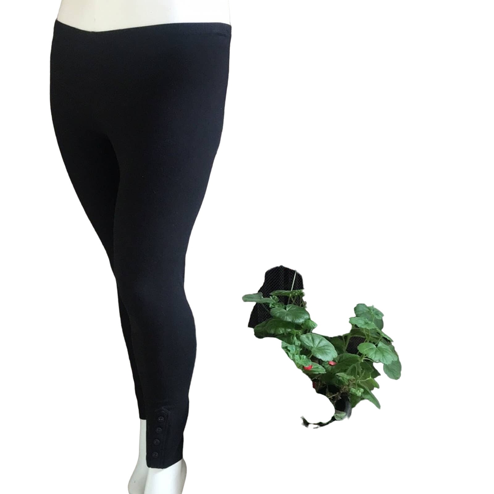 Chico's Black Buttoned Ankle Cotton Blend Black Leggings Size 2 (Medium)